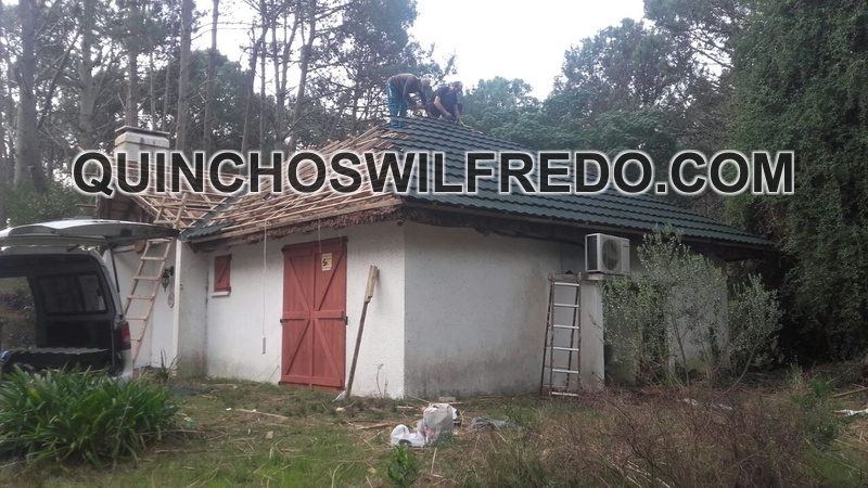 Quinchos Wilfredo