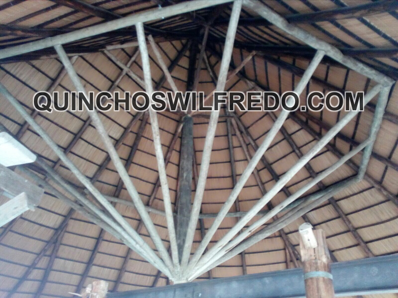 Quinchos Wilfredo