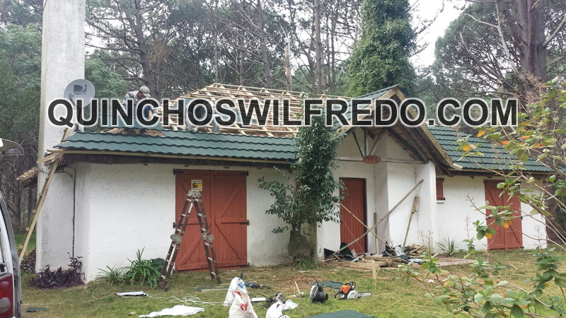 Quinchos Wilfredo