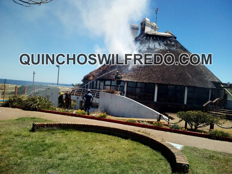Quinchos Wilfredo (1)