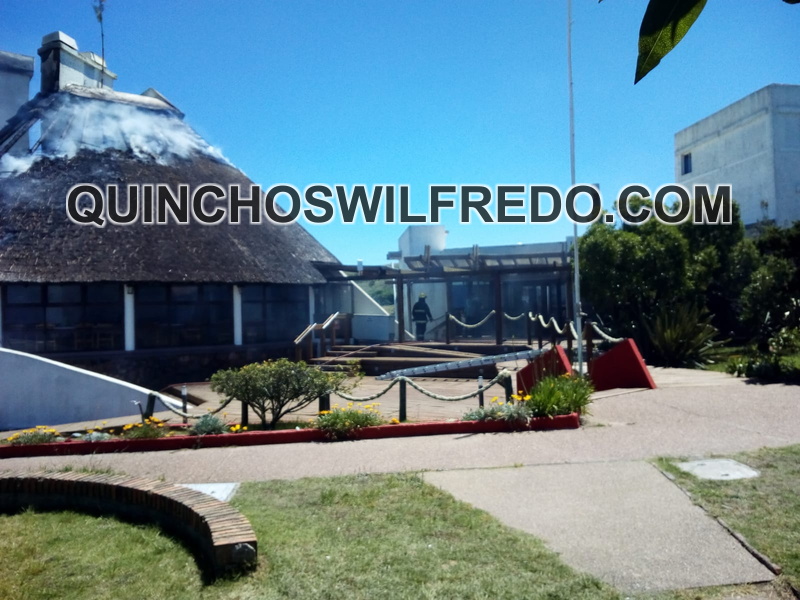 Quinchos Wilfredo (2)