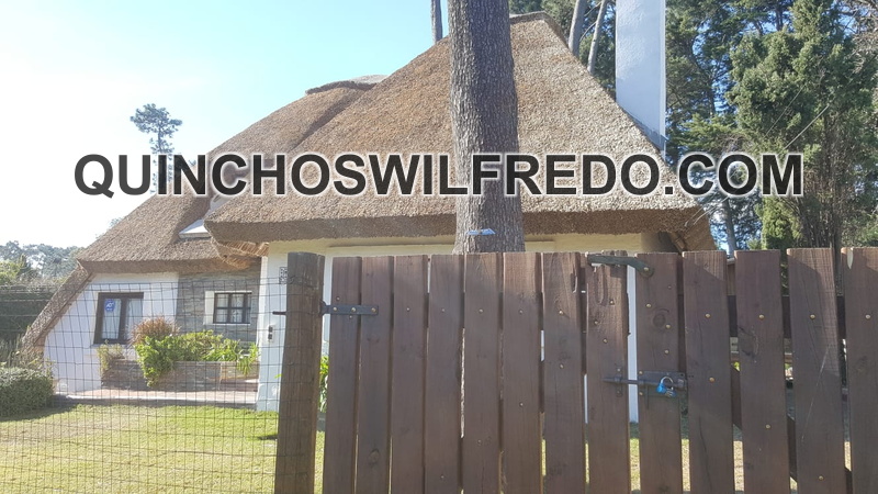 quinchos wilfredo (1)