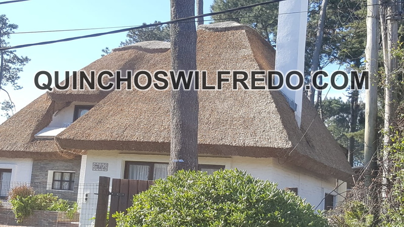 quinchos wilfredo (2)