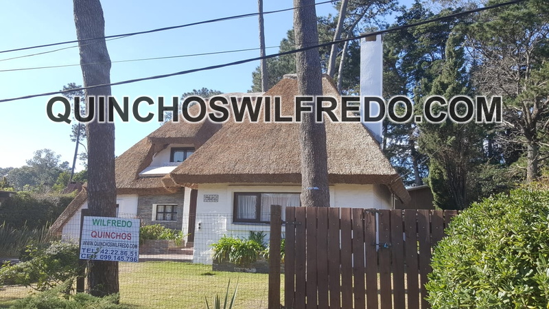 quinchos wilfredo (3)