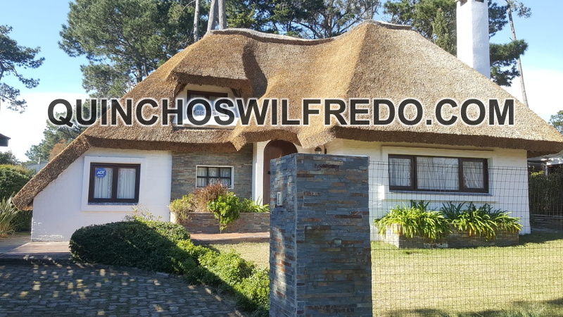 quinchos wilfredo (4)
