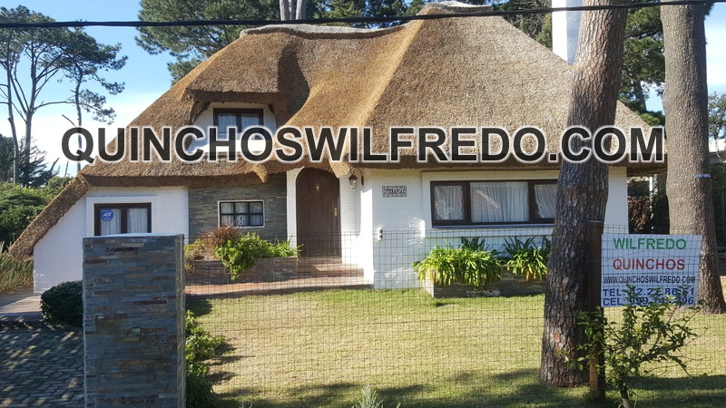 quinchos wilfredo (5)