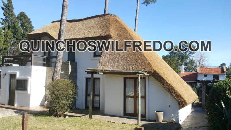 quinchos wilfredo (6)