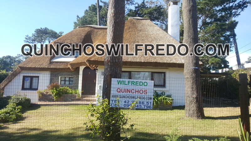 quinchos wilfredo (7)