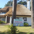 quinchos wilfredo (7)