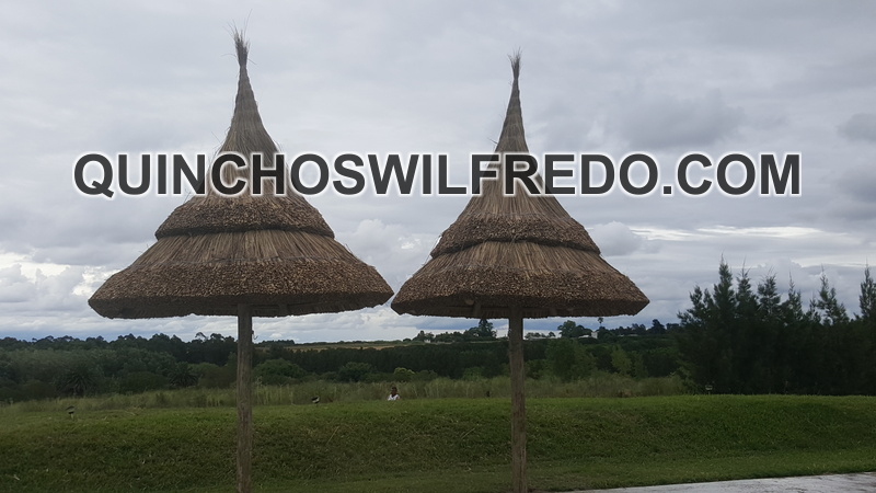 Quinchos (30)