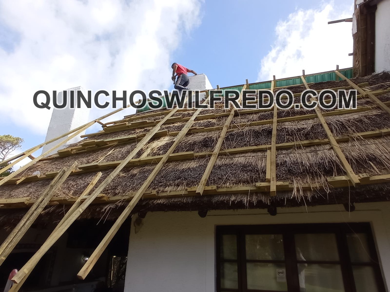 Diciembre 2020 (6)