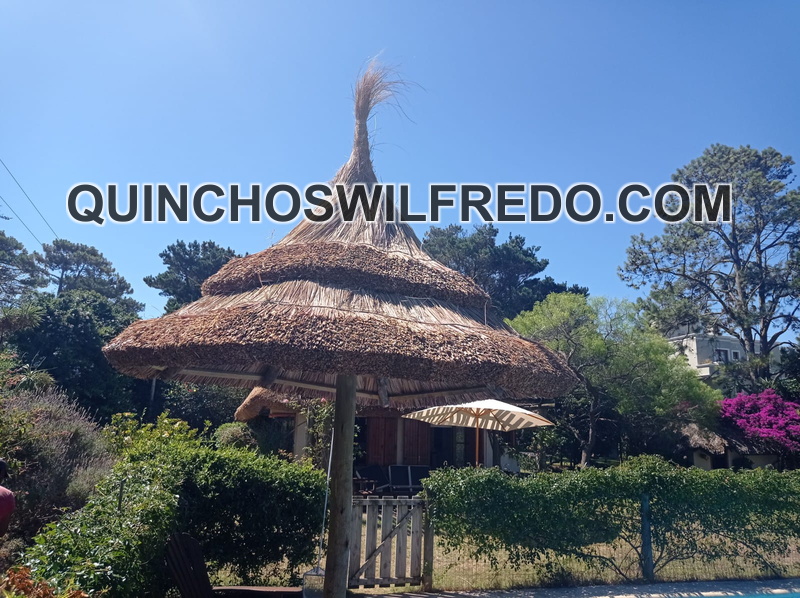 IMG-20210107-WA0009