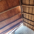 Image 1741787319917