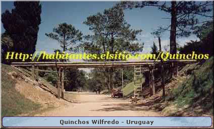 Quinchos Wilfredo