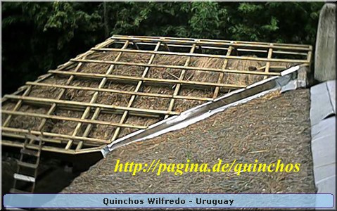 Quinchos Wilfredo