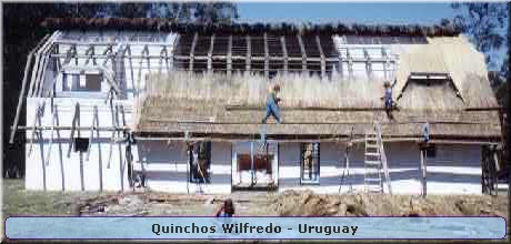 Quinchos Wilfredo