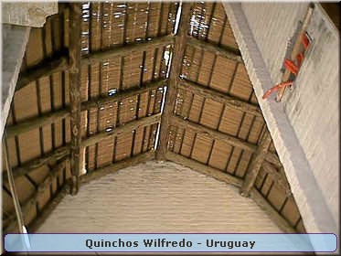 Quinchos Wilfredo