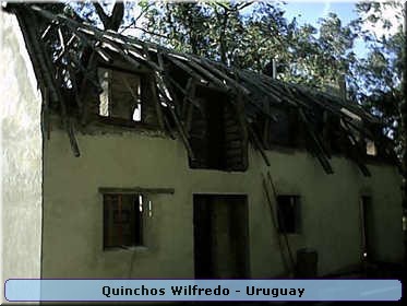 Quinchos Wilfredo