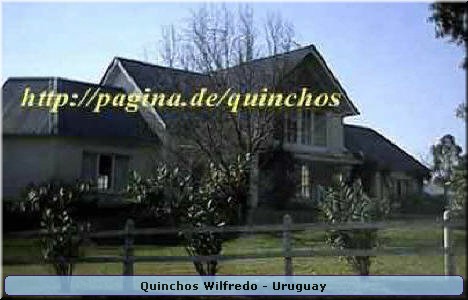 Quinchos Wilfredo