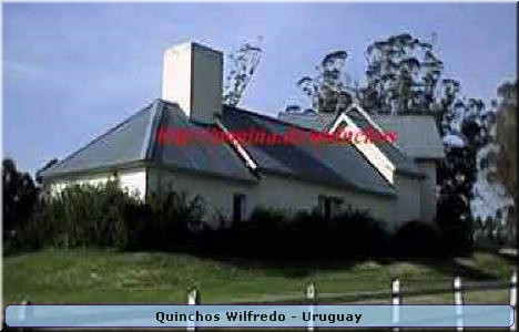 Quinchos Wilfredo