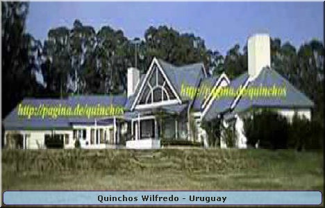 Quinchos Wilfredo