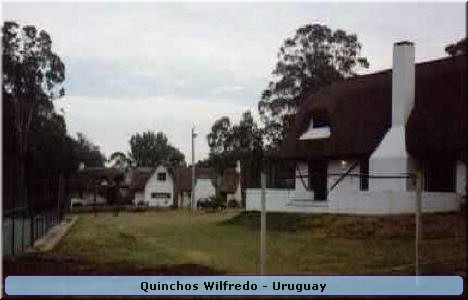 Quinchos Wilfredo