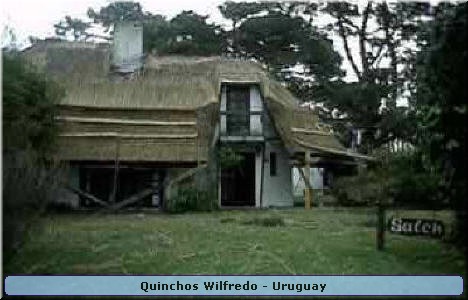 Quinchos Wilfredo