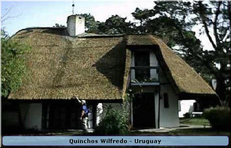 Quinchos Wilfredo