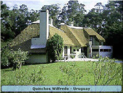 Quinchos Wilfredo