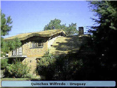 Quinchos Wilfredo