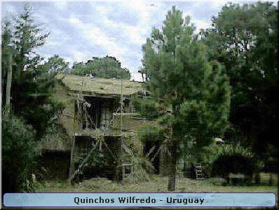 Quinchos Wilfredo