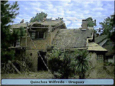 Quinchos Wilfredo