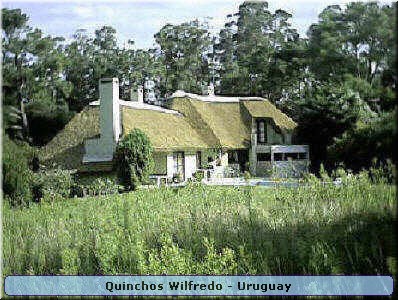 Quinchos Wilfredo
