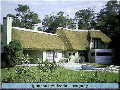 Quinchos Wilfredo
