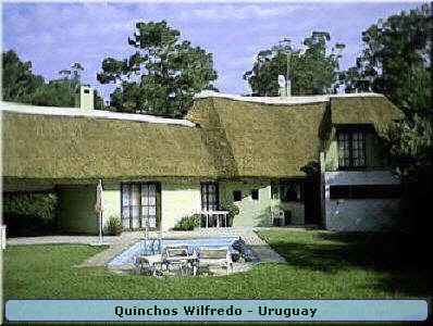 Quinchos Wilfredo