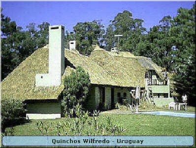 Quinchos Wilfredo