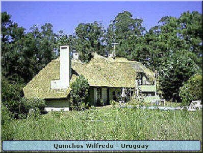 Quinchos Wilfredo