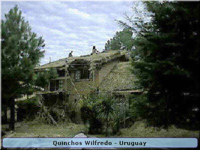 Quinchos Wilfredo