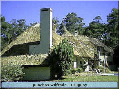 Quinchos Wilfredo