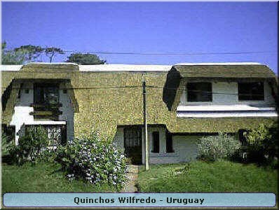 Quinchos Wilfredo
