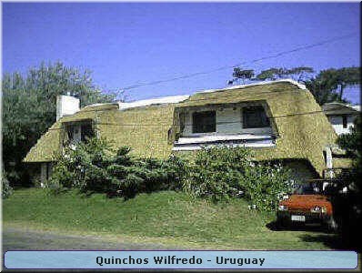 Quinchos Wilfredo