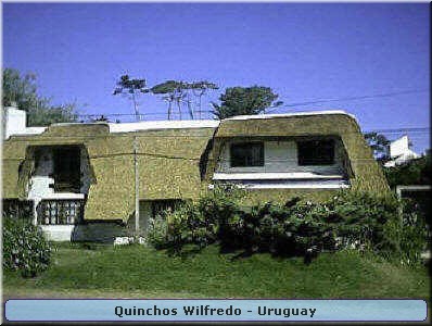 Quinchos Wilfredo