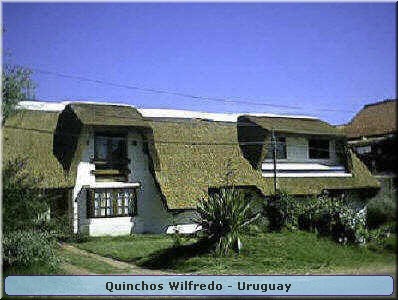 Quinchos Wilfredo