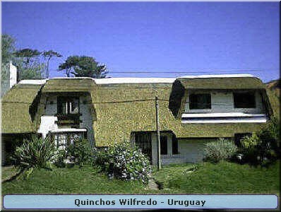 Quinchos Wilfredo