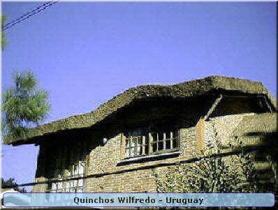 Quinchos Wilfredo
