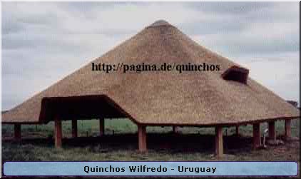 Quinchos Wilfredo