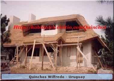 Quinchos Wilfredo