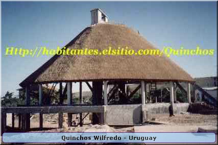 Quinchos Wilfredo