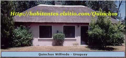 Quinchos Wilfredo