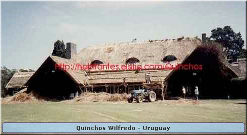 Quinchos Wilfredo